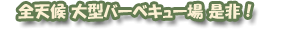 雨でもOK！！全天候型